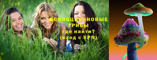 индика Навашино