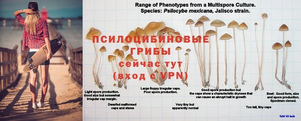 a pvp Волоколамск