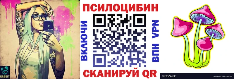Псилоцибиновые грибы Psilocybine cubensis Дятьково
