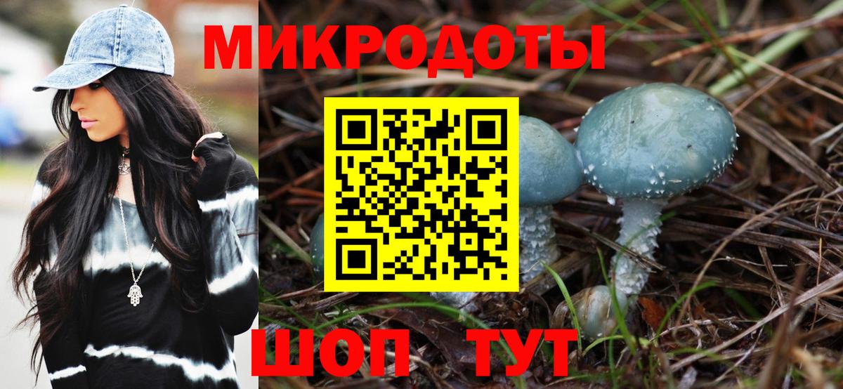 Галлюциногенные грибы Cubensis  Дятьково 